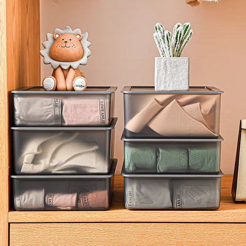 Compartment Storage Organizer Drawer Box