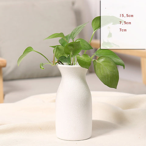 Matte Minimalist Ceramic Black & White Vase Set