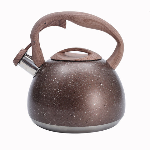 Stainless Steel Whistling Tea Kettle