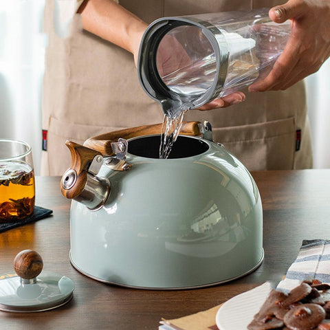 Stainless Steel Whistling Kettle