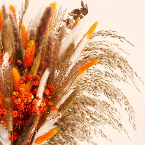Fall Harvest Dried Pampas Bouquet