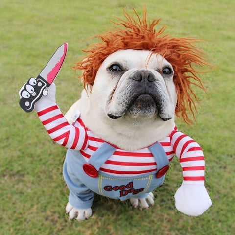 Halloween Dog Costume – Funny Cute Pet Outfit