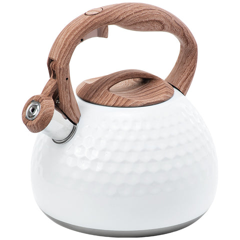 Stainless Steel Whistling Tea Kettle