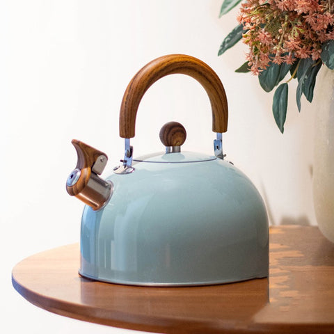 Stainless Steel Whistling Kettle