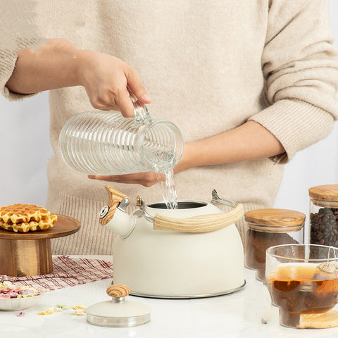 Stainless Steel Whistling Kettle