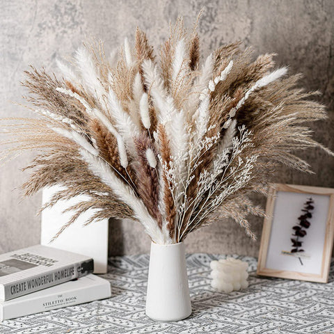 Dried Pampas Grass Bouquet Set