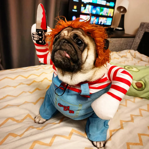 Halloween Dog Costume – Funny Cute Pet Outfit