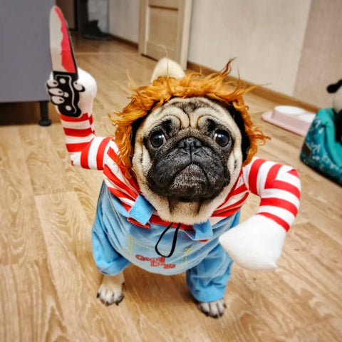Halloween Dog Costume – Funny Cute Pet Outfit