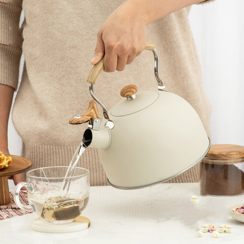 Stainless Steel Whistling Kettle