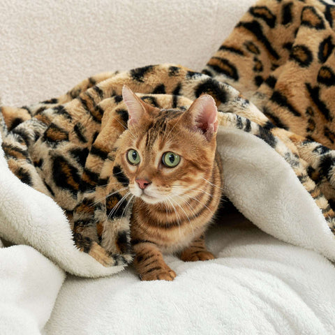 Leopard Print Faux Fur Throw Blanket