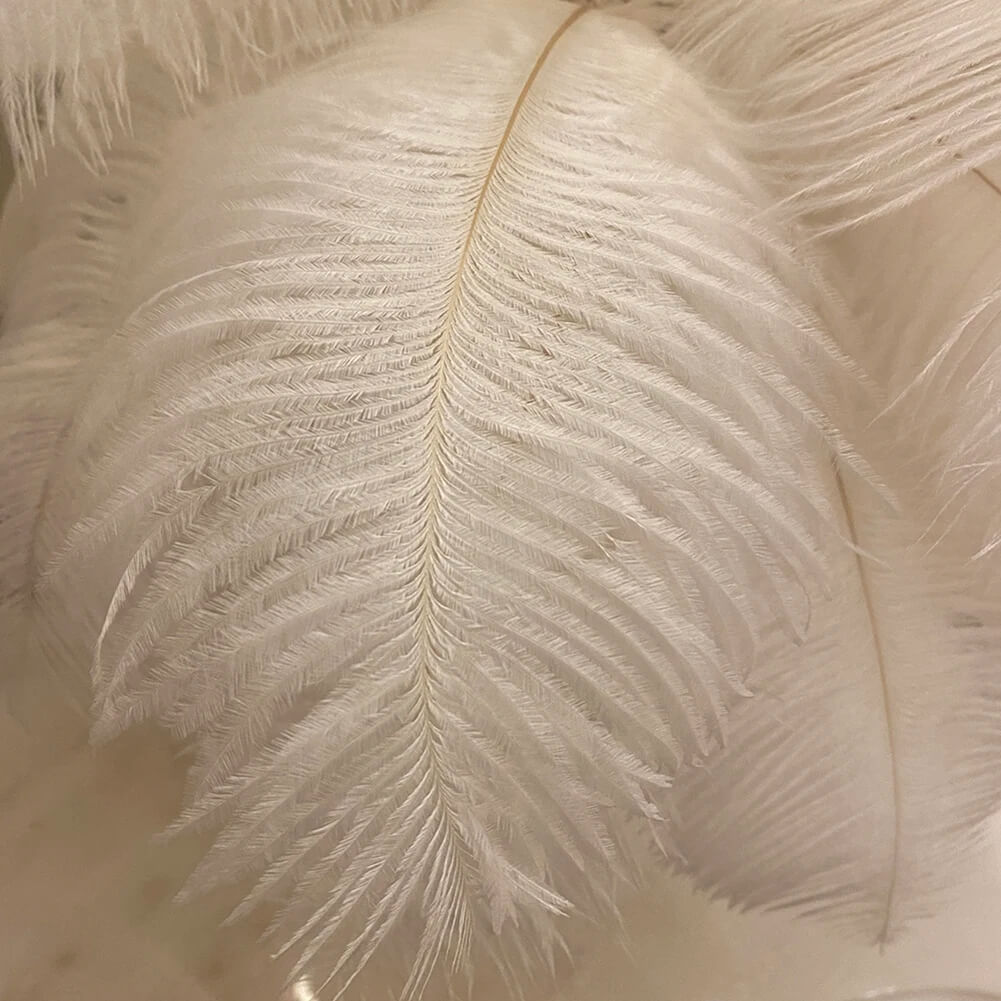 CELESTE OSTRICH FEATHER TABLE LAMP