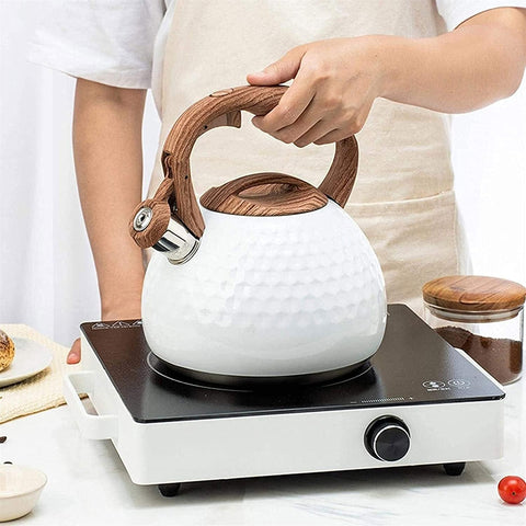 Stainless Steel Whistling Tea Kettle