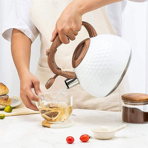 Stainless Steel Whistling Tea Kettle