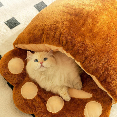 Bear Paw Cat Bed – Warm, Fluffy & Fun