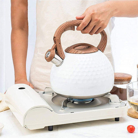 Stainless Steel Whistling Tea Kettle