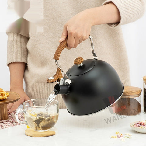 Stainless Steel Whistling Kettle