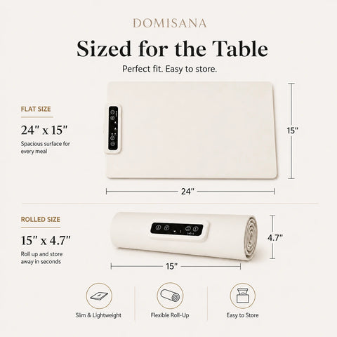 Electric Food Warming Tray