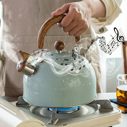 Stainless Steel Whistling Kettle