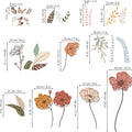 Illustrations of flowers and leaves with their dimensions on a white background
