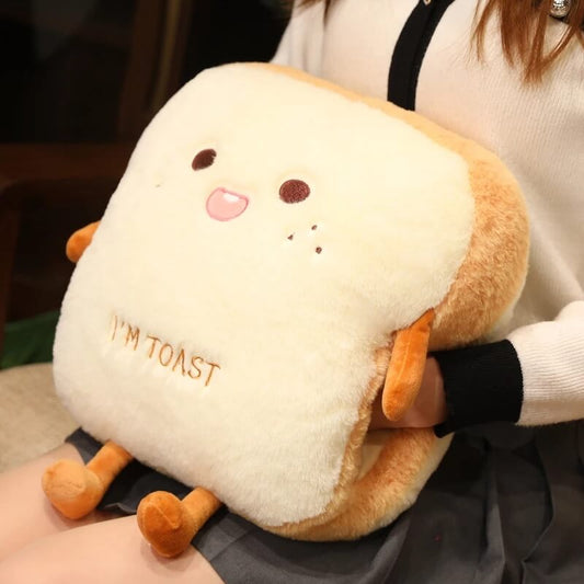 TOASTY HUG PILLOW