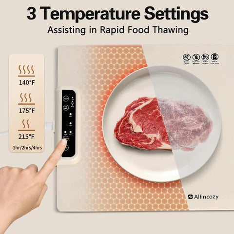 Electric Food Warming Tray