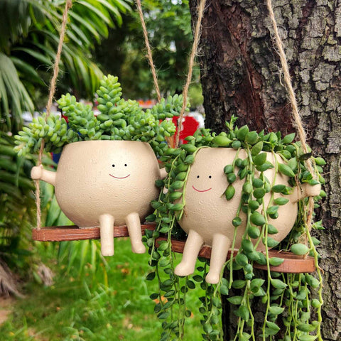 Two smiley face hanging planters on a tree, filled with succulents