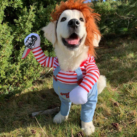 Halloween Dog Costume – Funny Cute Pet Outfit