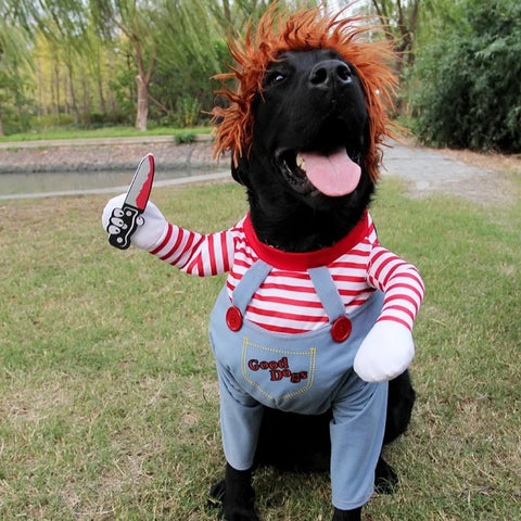 Halloween Dog Costume – Funny Cute Pet Outfit