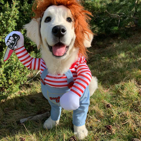 Halloween Dog Costume – Funny Cute Pet Outfit