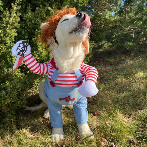 Halloween Dog Costume – Funny Cute Pet Outfit