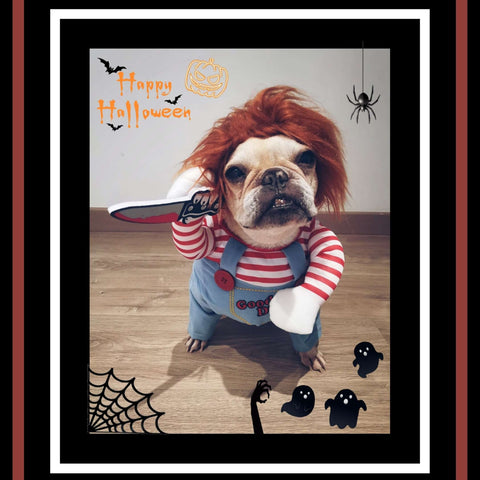 Halloween Dog Costume – Funny Cute Pet Outfit