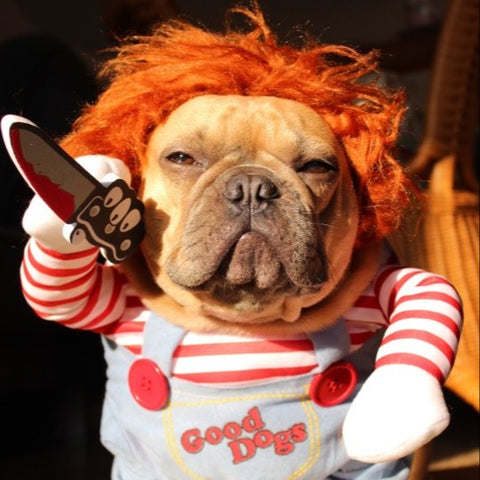 Halloween Dog Costume – Funny Cute Pet Outfit